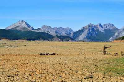 View of sheep on field against mountain range