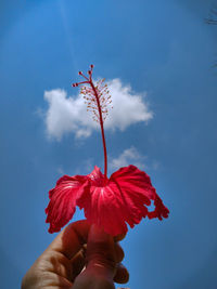 Close-up of hand holding red rose against sky