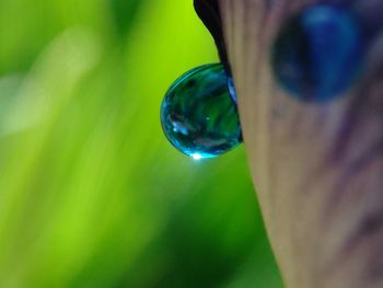 Close-up of reflection in water