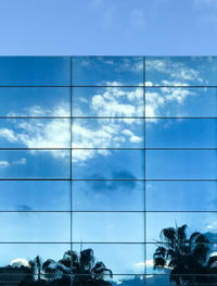 Low angle view of trees against blue sky