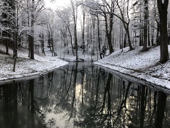 Scenic view of lake in forest during winter