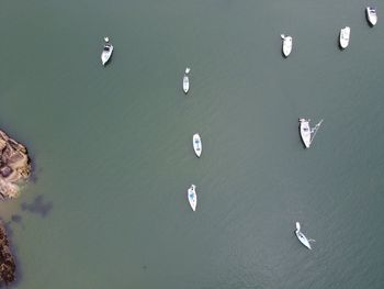 High angle view of sailboats in sea
