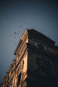 Low angle view of birds flying against sky