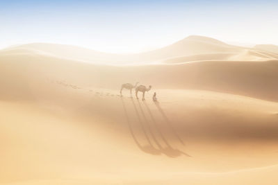 View of a desert