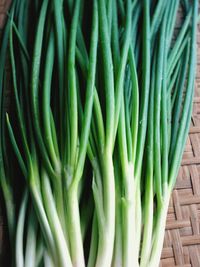 High angle view of vegetables on table