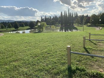 Scenic view of field against sky