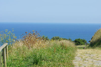 Scenic view of sea against clear sky