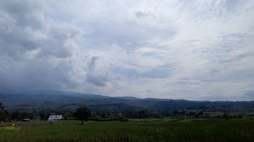 Scenic view of agricultural field against sky