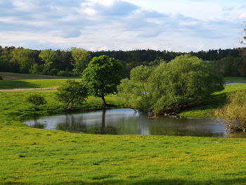 Scenic view of lake by trees against sky