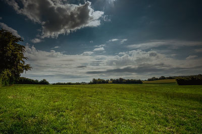 Scenic view of field against sky