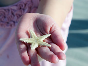 Midsection of woman holding starfish