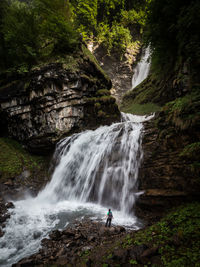 Scenic view of waterfall in forest