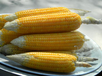 Close-up of yellow food