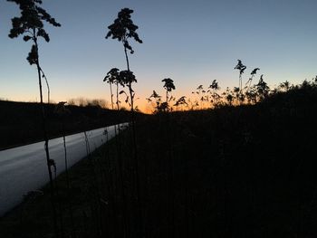 Silhouette plants on field against sky during sunset