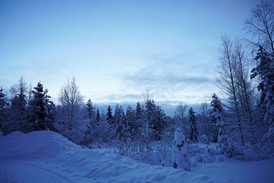 Snow covered landscape against sky during winter