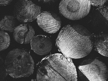 Full frame shot of logs