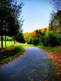 Road amidst trees against clear sky during autumn