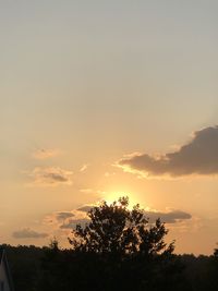 Low angle view of silhouette trees against sky during sunset