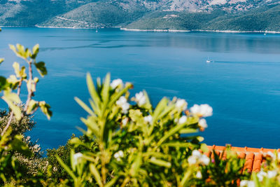 Scenic view of sea and mountains