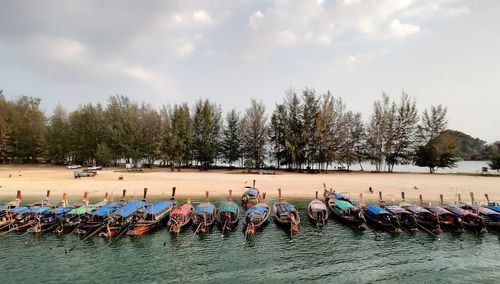 View of birds perching on plants against sky