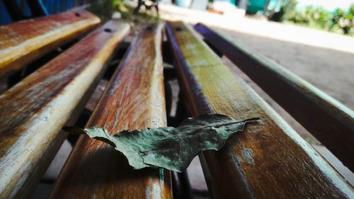 Close-up of wood on table