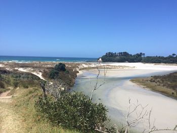 Scenic view of beach against clear blue sky