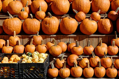 Full frame shot of pumpkins for sale at market