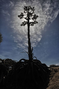 Low angle view of trees against cloudy sky