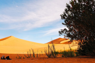 Scenic view of desert landscape against cloudy sky