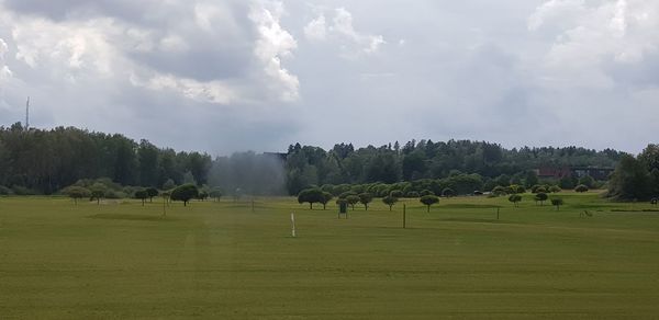 Panoramic view of trees on field against sky