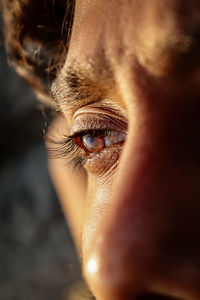 Close-up of human eye