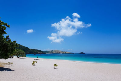 Scenic view of beach against blue sky