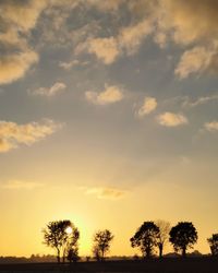 Low angle view of silhouette trees against sky during sunset