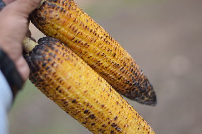 Close-up of hand holding burger