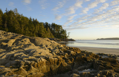 Rocks on the beach at sunset, tonquin beach, british columbia, canada