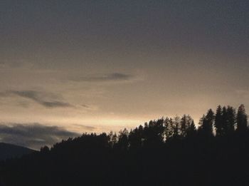 Silhouette trees in forest against sky at sunset