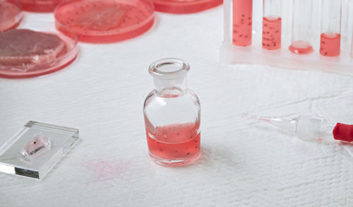 High angle view of drink on table