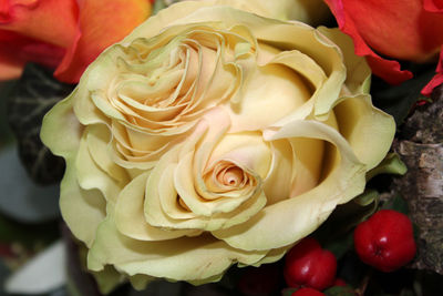 High angle view of rose bouquet