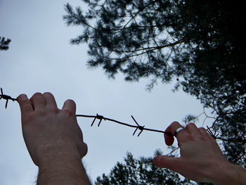 Low angle view of hands holding plants against sky