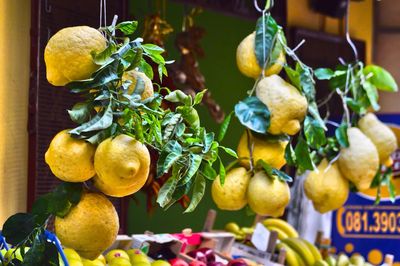 Lemons for sale at market stall