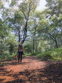 Rear view of man standing amidst trees in forest
