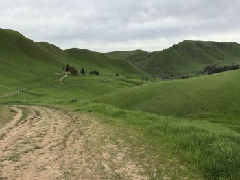 Scenic view of green landscape against sky