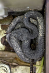 Close-up of rusty metal chain