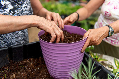 Midsection of woman holding potted plant