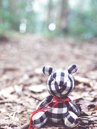 Close-up of stuffed toy on a field