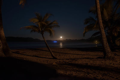 Palm trees on beach against sky at night