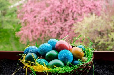 Close-up of multi colored eggs on plant