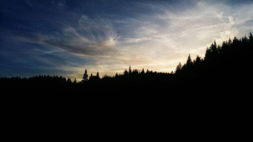 Silhouette trees against sky during sunset