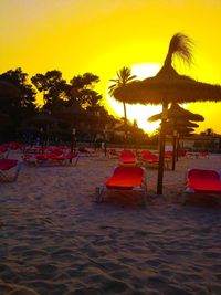 Palm trees on beach against sky during sunset