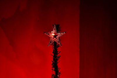 Low angle view of christmas tree against red wall